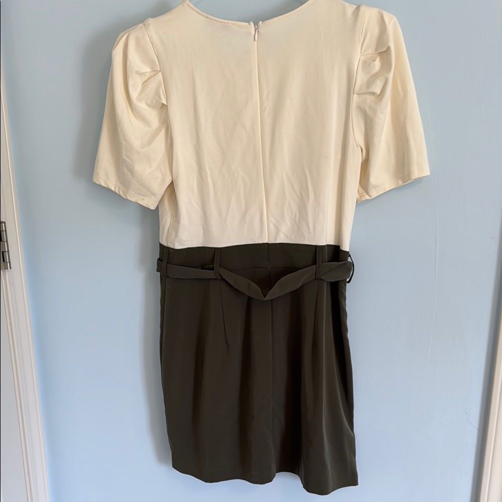 Express Cream Buttoned Ruffled Sheath Dress - Picture 4 of 4